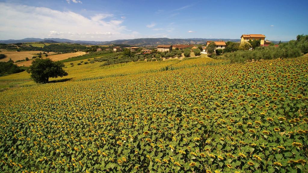 Colle San Giovanni Τόντι Εξωτερικό φωτογραφία